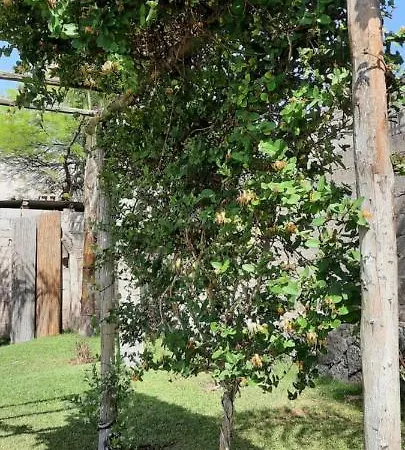 Apartamento Umbrella 2 La Rioja Exterior foto